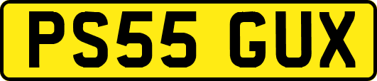 PS55GUX