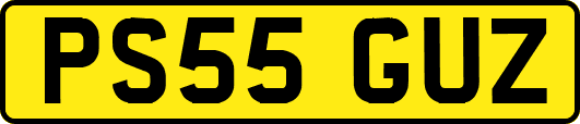 PS55GUZ