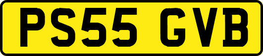 PS55GVB