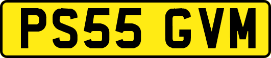 PS55GVM