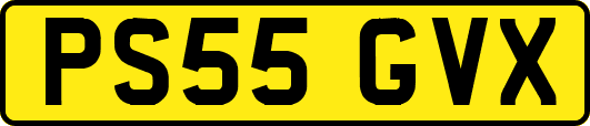 PS55GVX