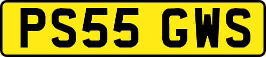 PS55GWS
