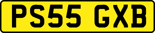 PS55GXB