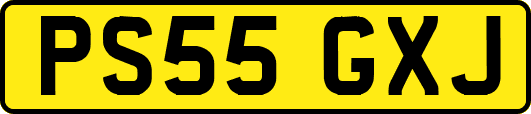 PS55GXJ