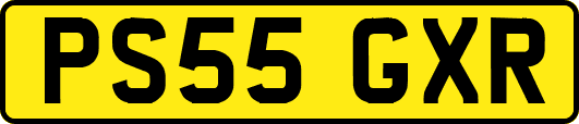 PS55GXR