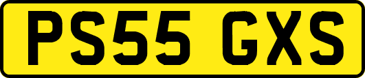 PS55GXS