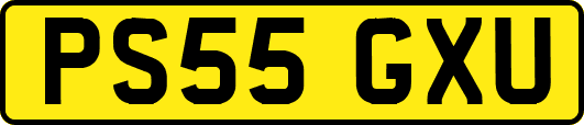 PS55GXU