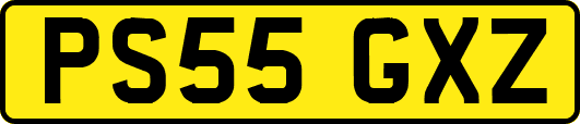 PS55GXZ