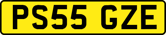 PS55GZE
