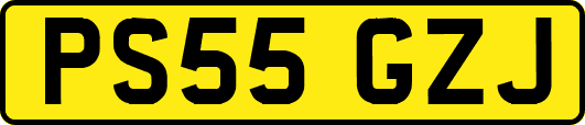 PS55GZJ