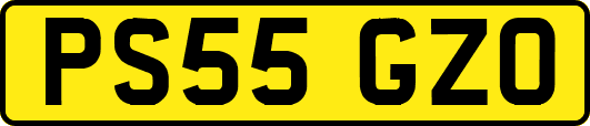 PS55GZO