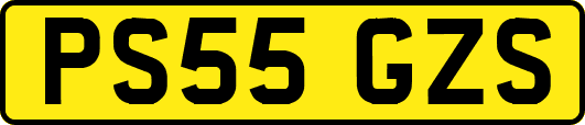 PS55GZS