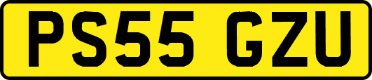 PS55GZU