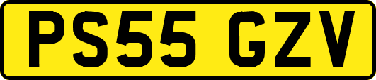 PS55GZV