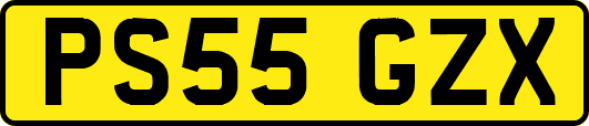 PS55GZX