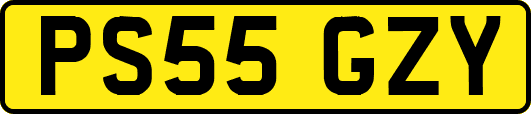 PS55GZY