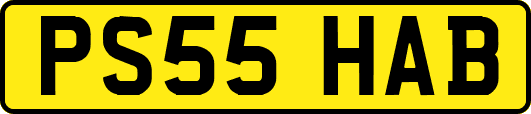 PS55HAB