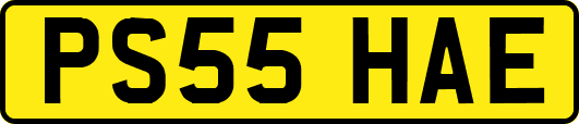 PS55HAE