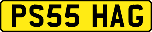 PS55HAG