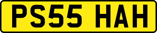 PS55HAH