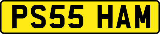 PS55HAM