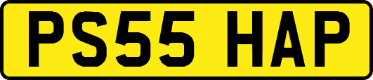 PS55HAP