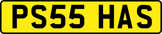 PS55HAS