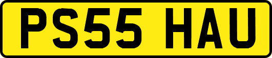 PS55HAU