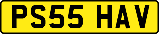 PS55HAV