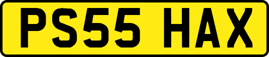PS55HAX