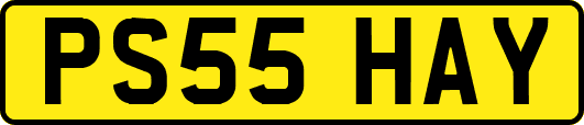 PS55HAY