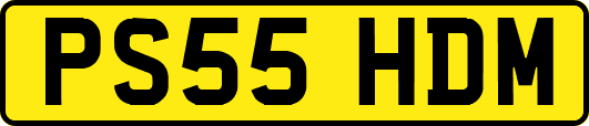 PS55HDM