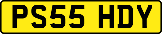PS55HDY