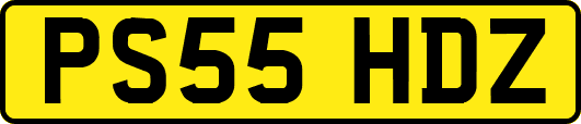 PS55HDZ