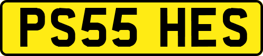 PS55HES