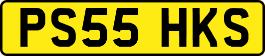 PS55HKS