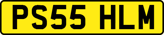 PS55HLM