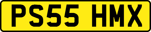 PS55HMX