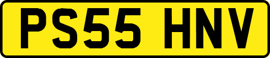 PS55HNV