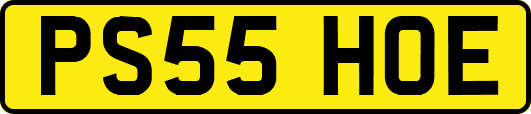 PS55HOE
