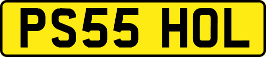 PS55HOL