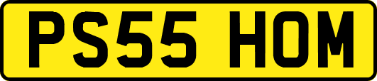 PS55HOM