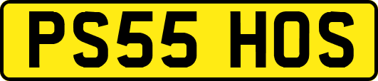 PS55HOS