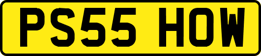 PS55HOW