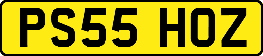 PS55HOZ