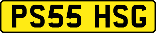 PS55HSG