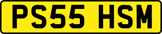 PS55HSM