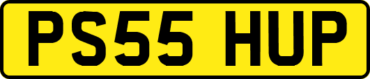 PS55HUP