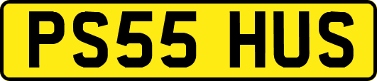 PS55HUS