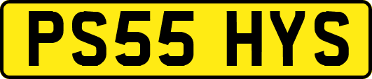 PS55HYS